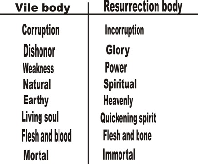 body