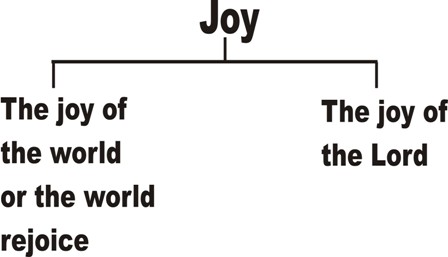 joy